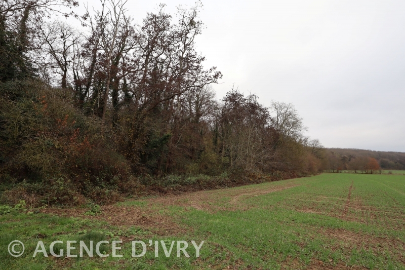 Maison coup de coeur